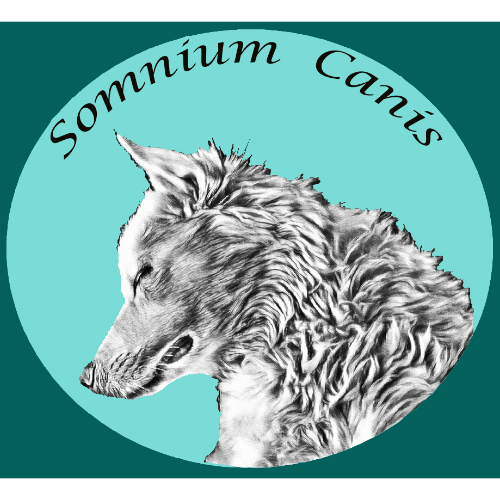 Somnium Canis - Accessoires und mehr für Dich und Deine Fellnase